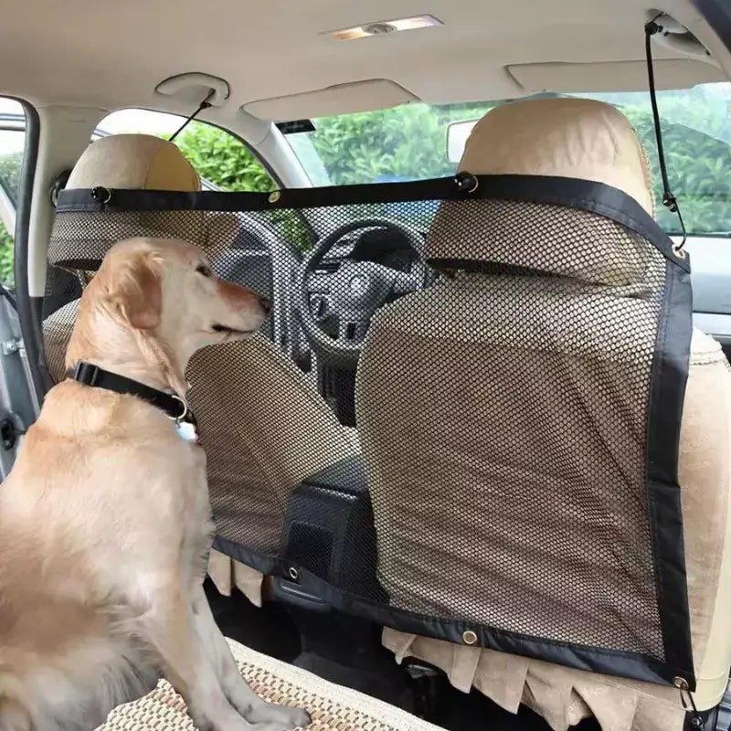 Cerca Portão de Segurança para Cachorro em Malha Resistente